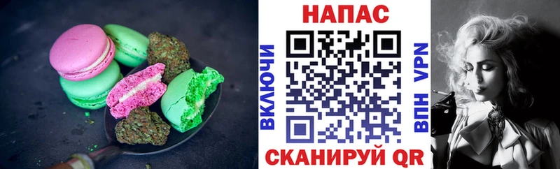 Cannafood конопля  Алатырь 
