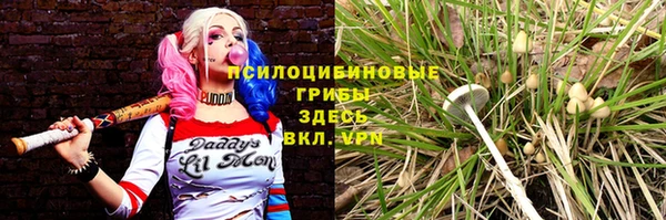 стафф Алексеевка