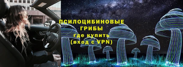 стафф Алексеевка